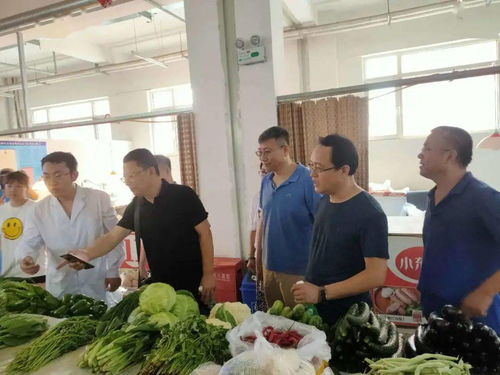 守護(hù)“舌尖上的安全”——區(qū)市場(chǎng)監(jiān)管局開(kāi)展食品安全宣傳周活動(dòng)，聚焦食用農(nóng)產(chǎn)品安全