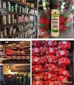 從車間到田園 農(nóng)產(chǎn)品加工廠如何打造休閑觀光新體驗